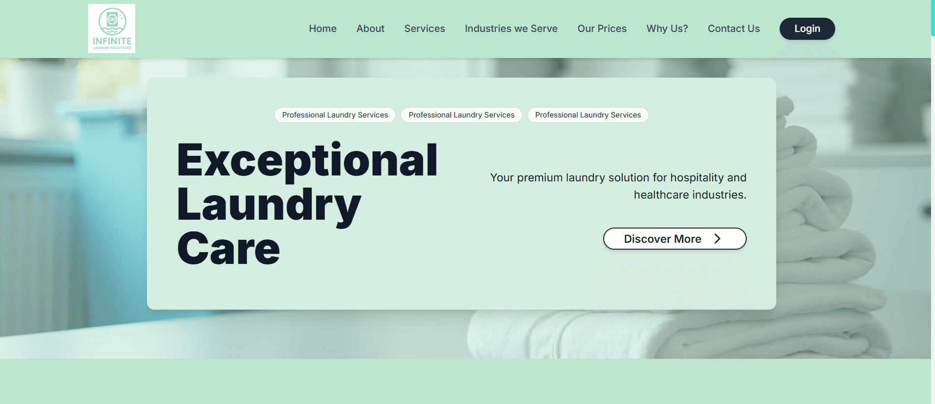 Infinite Laundry interface and project preview
